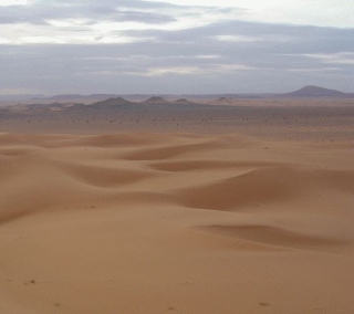  Descubrir el desierto en cuatrimoto 